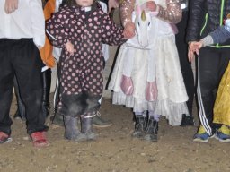 DSC_0274-2_web